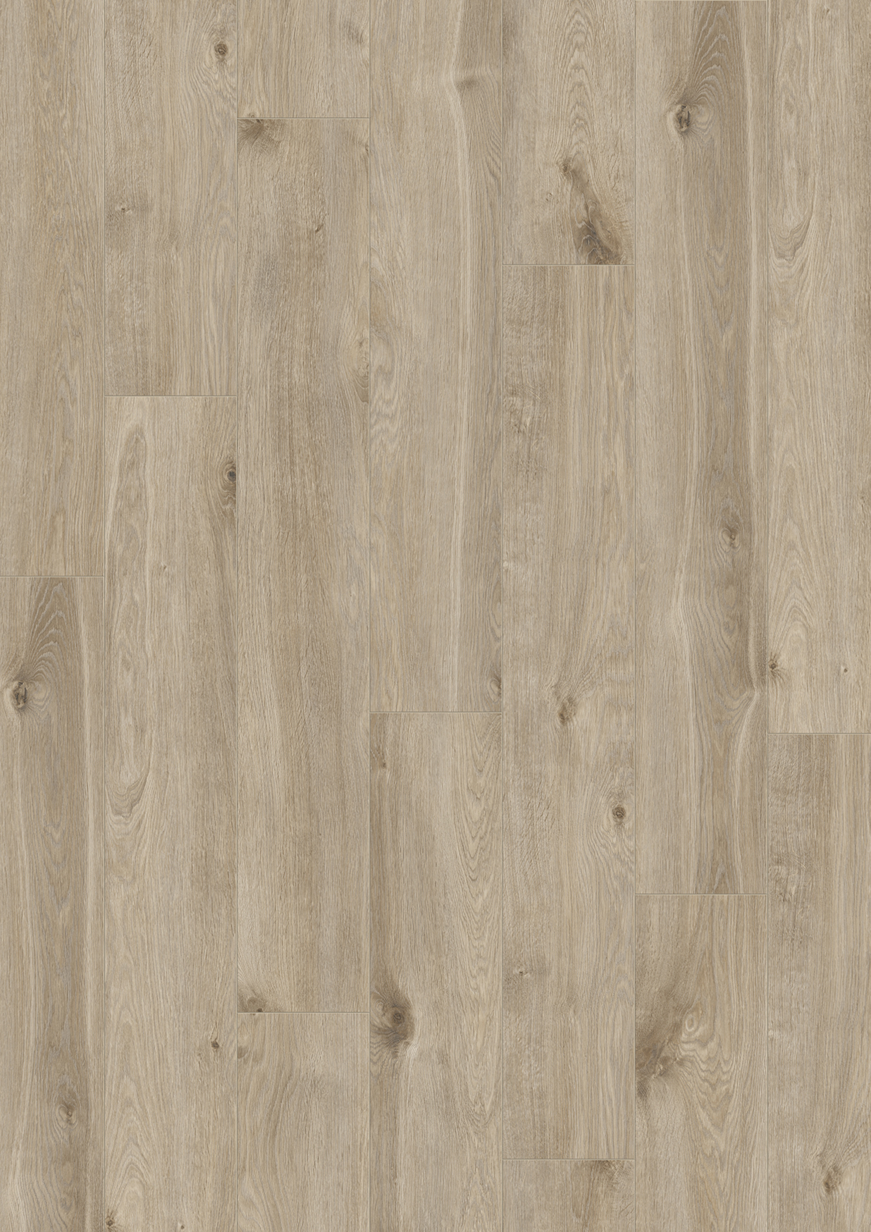 Stockholm Oak