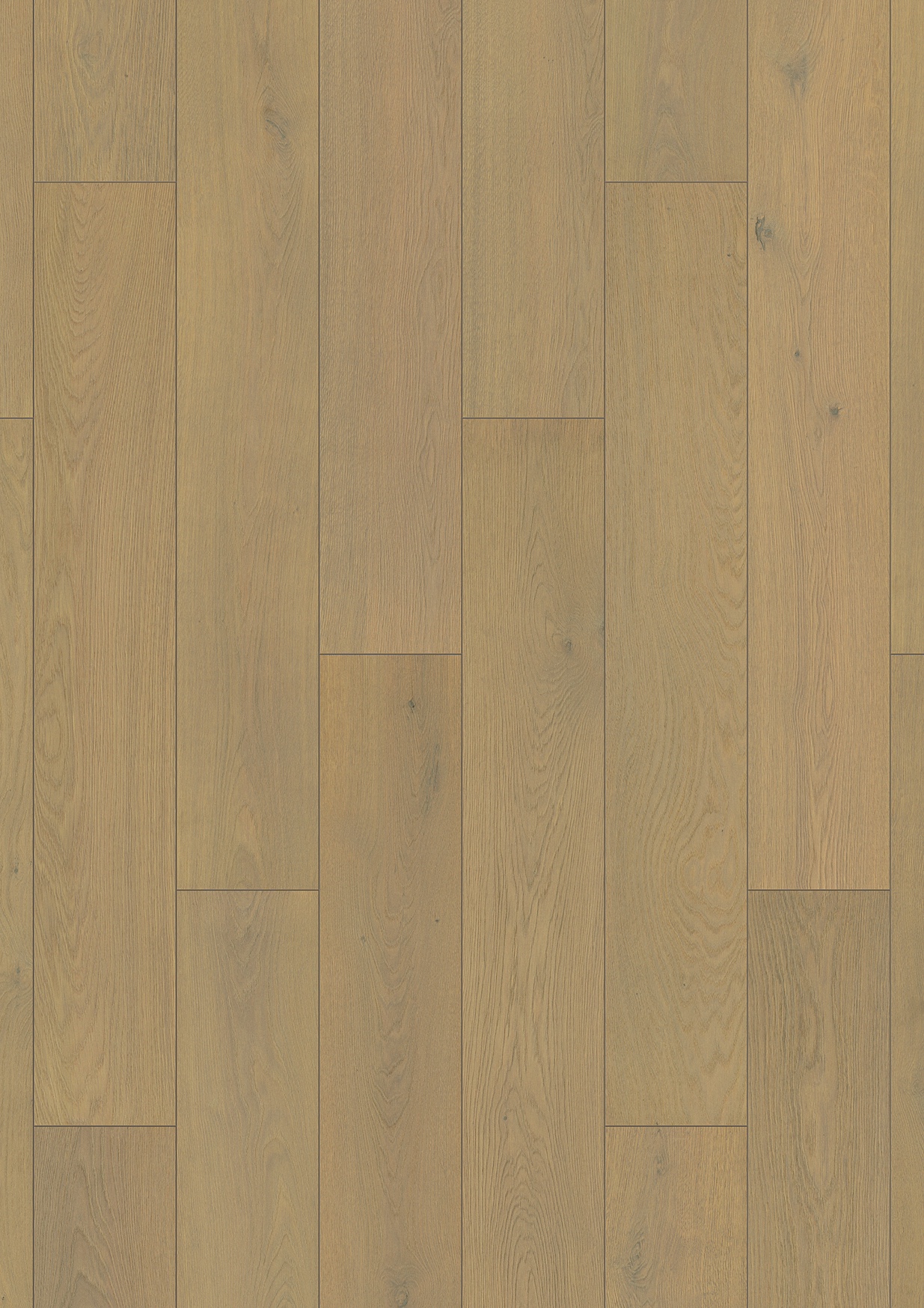 Copper Ethereal Oak